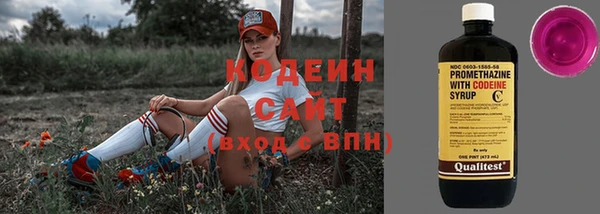 прущие грибы Нягань