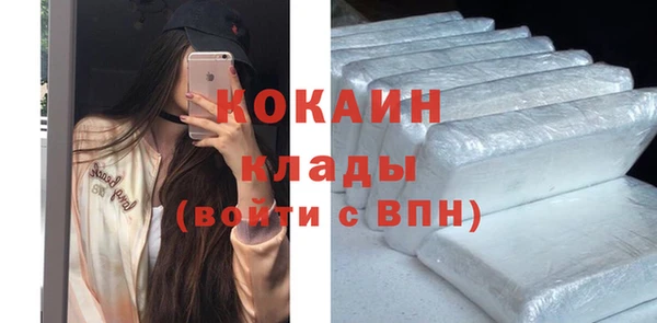 мдпв Няндома