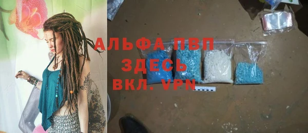 прущие грибы Нягань