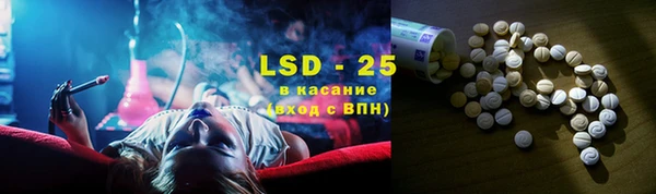 прущие грибы Нягань