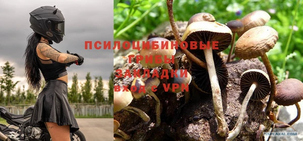 прущие грибы Нягань