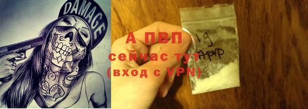 прущие грибы Нягань