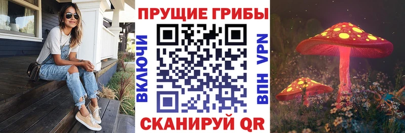 Псилоцибиновые грибы Psilocybine cubensis  как найти закладки  Костерёво 